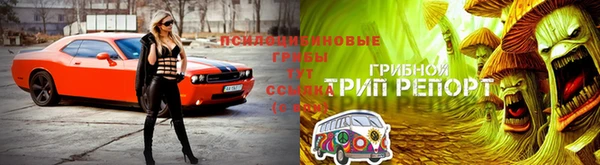 амф Алексеевка