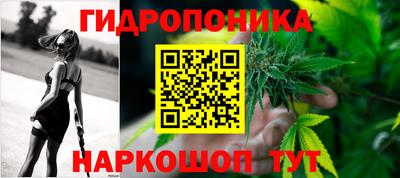 дурь Будённовск