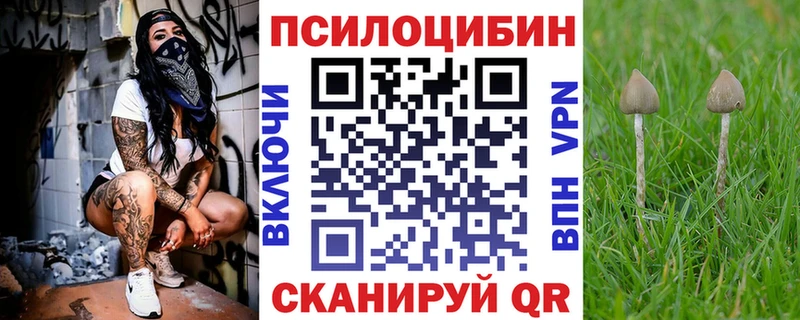 Псилоцибиновые грибы Cubensis mega ONION Благодарный