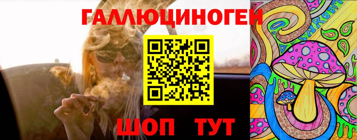 Псилоцибиновые грибы Psilocybine cubensis Благодарный