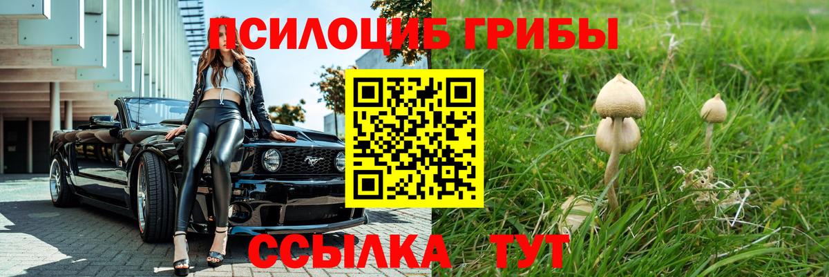 Благодарный  Alpha PVP СК кристаллы  Бошки Шишки  Вход с VPN  Гашиш  Кокаин  Меф МЯУ МЯУ кристаллы 
