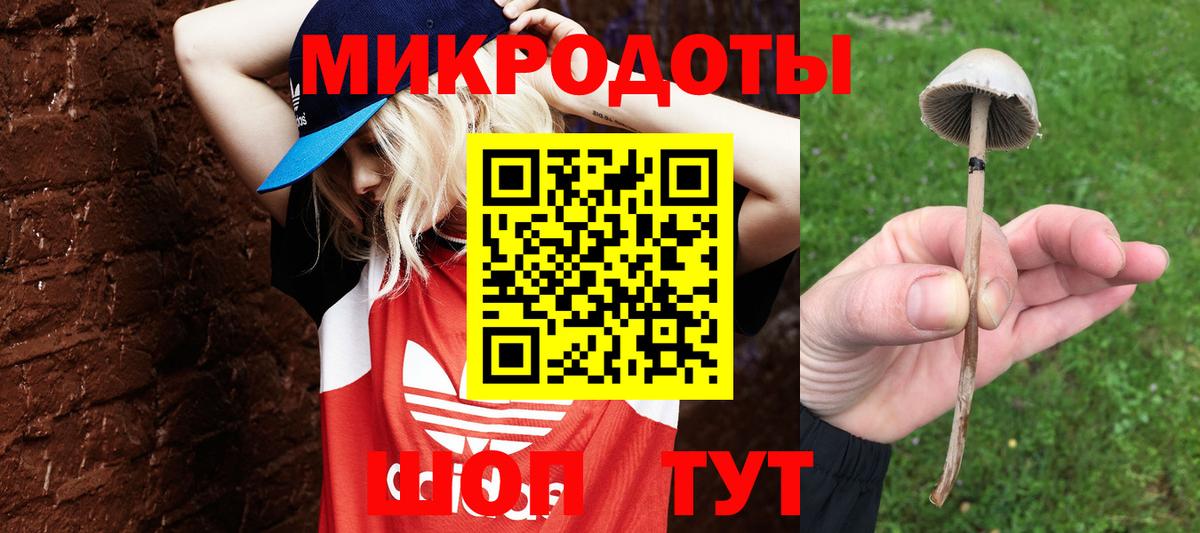 Благодарный  Галлюциногенные грибы Psilocybe  Вход с VPN 