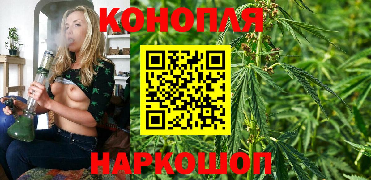 Канабис план  Вход с VPN  Бошки марихуана планчик  Канабис тримм  Благодарный  Канабис планчик 